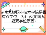 湖南九嶷职业技术学院是否有双学位，为什么(湖南九嶷双学位原因)