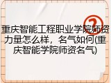 重庆智能工程职业学院师资力量怎么样，名气如何(重庆智能学院师资名气)