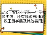 武汉工贸职业学院一年学费多少钱，还有哪些费用(武汉工贸学费及其他费用)