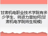 甘肃机电职业技术学院有多少学生，师资力量如何(甘肃机电学院师生规模)