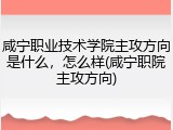 咸宁职业技术学院主攻方向是什么，怎么样(咸宁职院主攻方向)