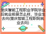重庆智能工程职业学院毕业后就业前景怎么样，毕业生去向(重庆智能工程职院就业去向)