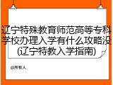 辽宁特殊教育师范高等专科学校办理入学有什么攻略没(辽宁特教入学指南)