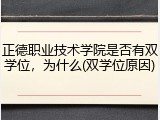 正德职业技术学院是否有双学位，为什么(双学位原因)