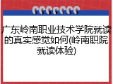 广东岭南职业技术学院就读的真实感觉如何(岭南职院就读体验)