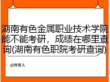 湖南有色金属职业技术学院能不能考研，成绩在哪里查询(湖南有色职院考研查询)