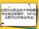 合肥共达职业技术学院哪些专业就业前景好，为什么(合肥共达好就业专业)