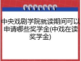 中央戏剧学院就读期间可以申请哪些奖学金(中戏在读奖学金)