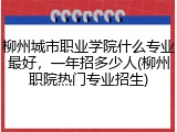 柳州城市职业学院什么专业最好，一年招多少人(柳州职院热门专业招生)