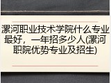 漯河职业技术学院什么专业最好，一年招多少人(漯河职院优势专业及招生)