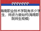 海南职业技术学院有多少学生，师资力量如何(海南职院师生规模)