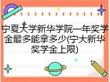 宁夏大学新华学院一年奖学金最多能拿多少(宁大新华奖学金上限)