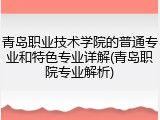 青岛职业技术学院的普通专业和特色专业详解(青岛职院专业解析)