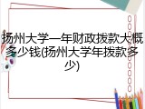 扬州大学一年财政拨款大概多少钱(扬州大学年拨款多少)