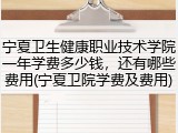 宁夏卫生健康职业技术学院一年学费多少钱，还有哪些费用(宁夏卫院学费及费用)