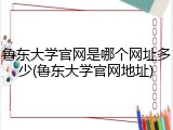 鲁东大学官网是哪个网址多少(鲁东大学官网地址)