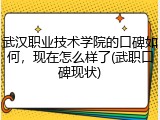 武汉职业技术学院的口碑如何，现在怎么样了(武职口碑现状)