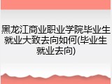 黑龙江商业职业学院毕业生就业大致去向如何(毕业生就业去向)