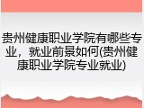 贵州健康职业学院有哪些专业，就业前景如何(贵州健康职业学院专业就业)