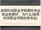宜昌科技职业学院哪些专业就业前景好，为什么(宜昌科技职业学院优势专业)