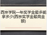 西京学院一年奖学金最多能拿多少(西京奖学金最高金额)