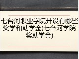 七台河职业学院开设有哪些奖学和助学金(七台河学院奖助学金)