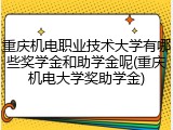 重庆机电职业技术大学有哪些奖学金和助学金呢(重庆机电大学奖助学金)