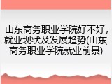 山东商务职业学院好不好，就业现状及发展趋势(山东商务职业学院就业前景)