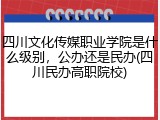四川文化传媒职业学院是什么级别，公办还是民办(四川民办高职院校)