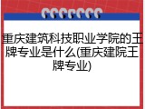 重庆建筑科技职业学院的王牌专业是什么(重庆建院王牌专业)