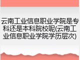 云南工业信息职业学院是专科还是本科院校呢(云南工业信息职业学院学历层次)
