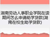 湖南劳动人事职业学院在读期间怎么申请助学贷款(湖南在校生助学贷款)