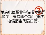 重庆电信职业学院招生编码多少，隶属哪个部门(重庆电信招生代码归属)