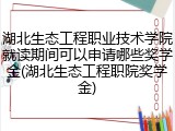湖北生态工程职业技术学院就读期间可以申请哪些奖学金(湖北生态工程职院奖学金)