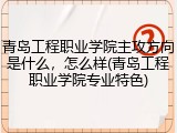 青岛工程职业学院主攻方向是什么，怎么样(青岛工程职业学院专业特色)