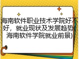 海南软件职业技术学院好不好，就业现状及发展趋势(海南软件学院就业前景)