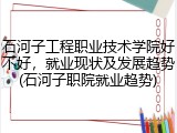 石河子工程职业技术学院好不好，就业现状及发展趋势(石河子职院就业趋势)