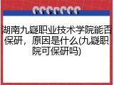 湖南九嶷职业技术学院能否保研，原因是什么(九嶷职院可保研吗)