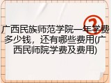 广西民族师范学院一年学费多少钱，还有哪些费用(广西民师院学费及费用)