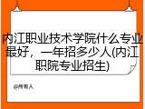 内江职业技术学院什么专业最好，一年招多少人(内江职院专业招生)