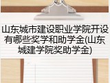 山东城市建设职业学院开设有哪些奖学和助学金(山东城建学院奖助学金)