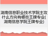 湖南信息职业技术学院主攻什么方向有哪些王牌专业(湖南信息学院王牌专业)