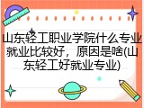山东轻工职业学院什么专业就业比较好，原因是啥(山东轻工好就业专业)