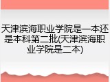 天津滨海职业学院是一本还是本科第二批(天津滨海职业学院是二本)