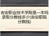 吉安职业技术学院是一本吗录取分数线多少(吉安职院分数线)