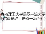 青岛理工大学是双一流大学吗?(青岛理工是双一流吗？)