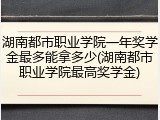 湖南都市职业学院一年奖学金最多能拿多少(湖南都市职业学院最高奖学金)