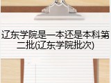 辽东学院是一本还是本科第二批(辽东学院批次)