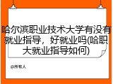 哈尔滨职业技术大学有没有就业指导，好就业吗(哈职大就业指导如何)