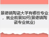 景德镇陶瓷大学有哪些专业，就业前景如何(景德镇陶瓷专业就业)